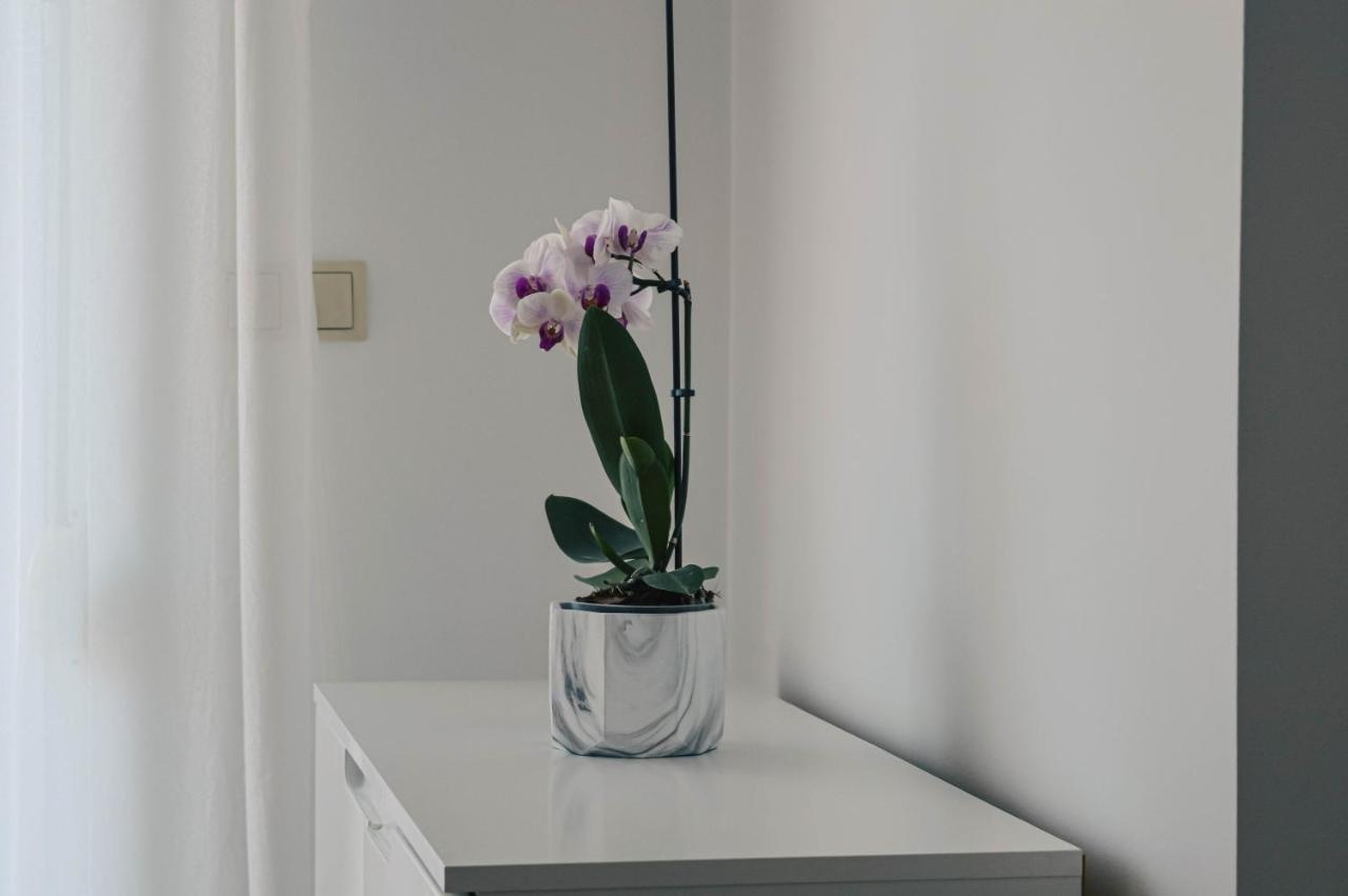 Apartment Valentina Ζαντάρ Εξωτερικό φωτογραφία